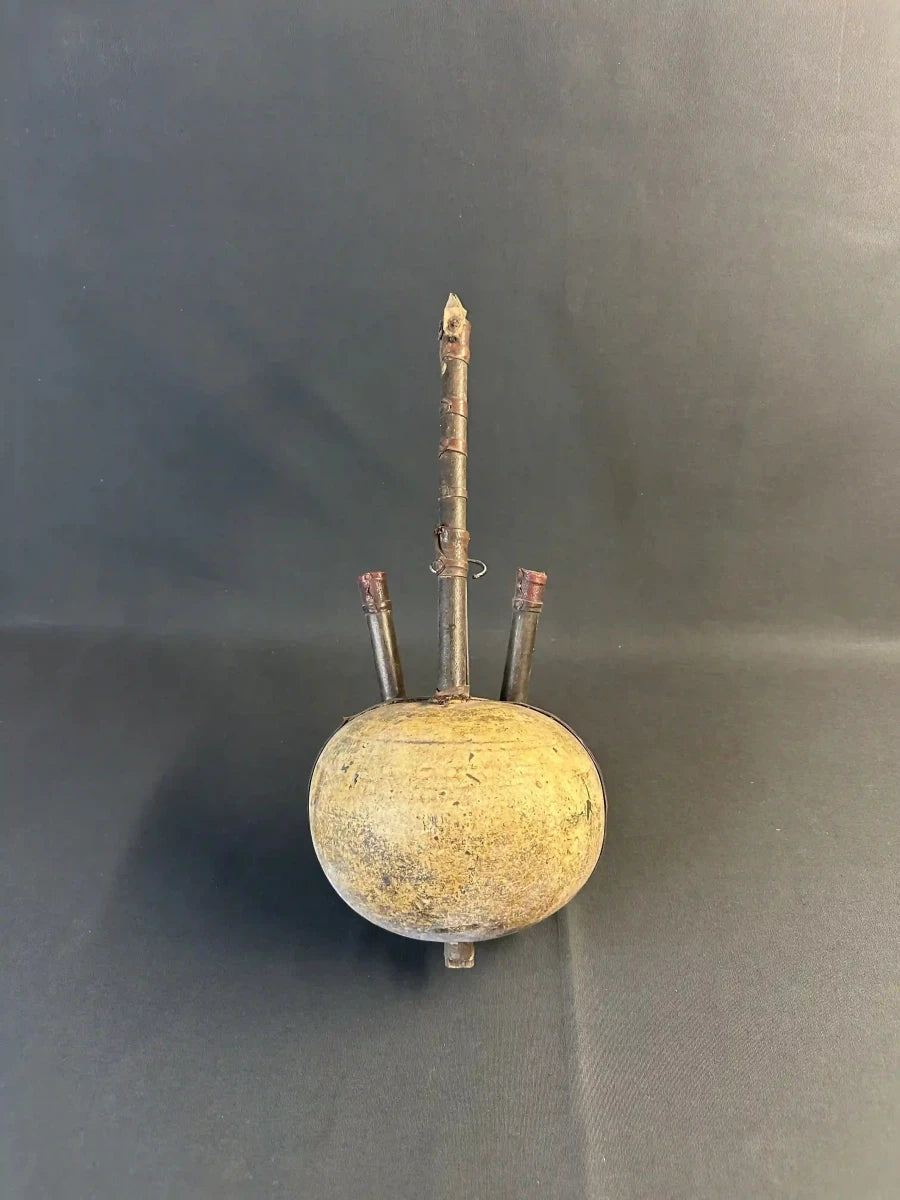 Ngoni instrument de musique africain à corde - 